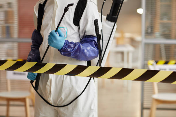 Professional Sewage Cleanup technician working in Coral, MI